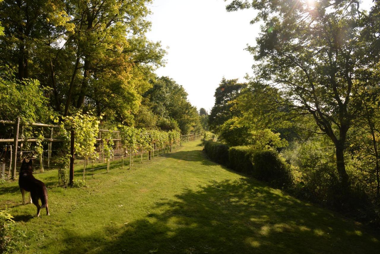 Thatchcombe B&B Wantage Esterno foto